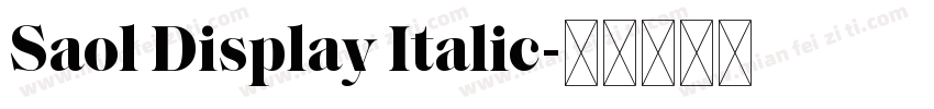 Saol Display Italic字体转换